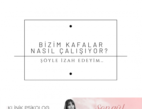 Bizim Kafalar Nasıl Çalışıyor?